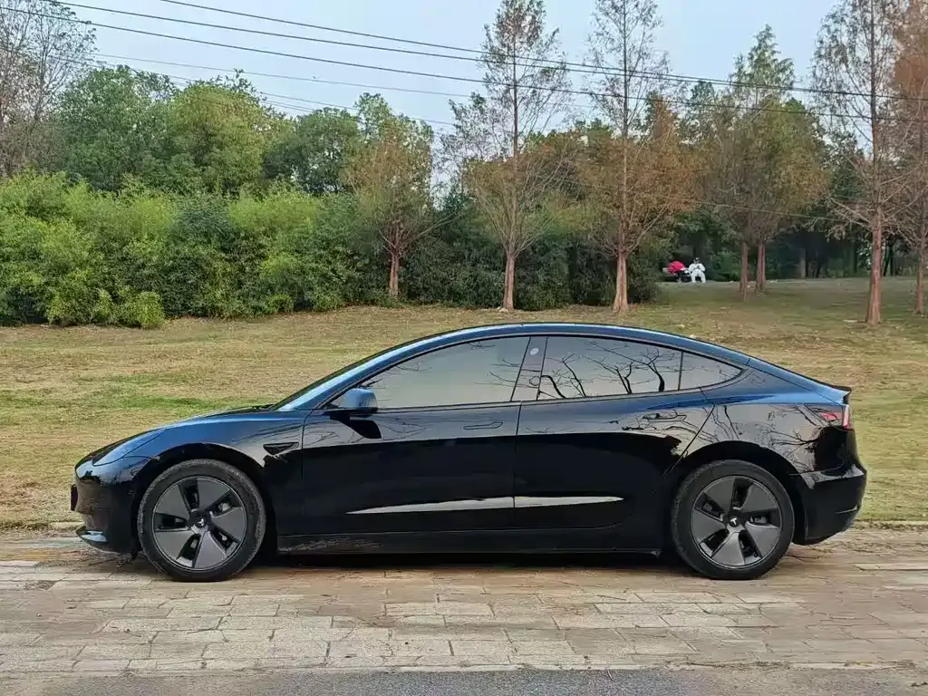 Tesla Model 3 2021 из CN, фото 7