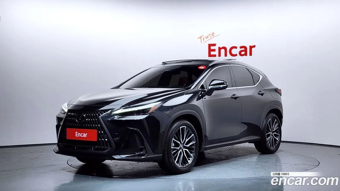 Lexus NX 2025 из KR, фото 1