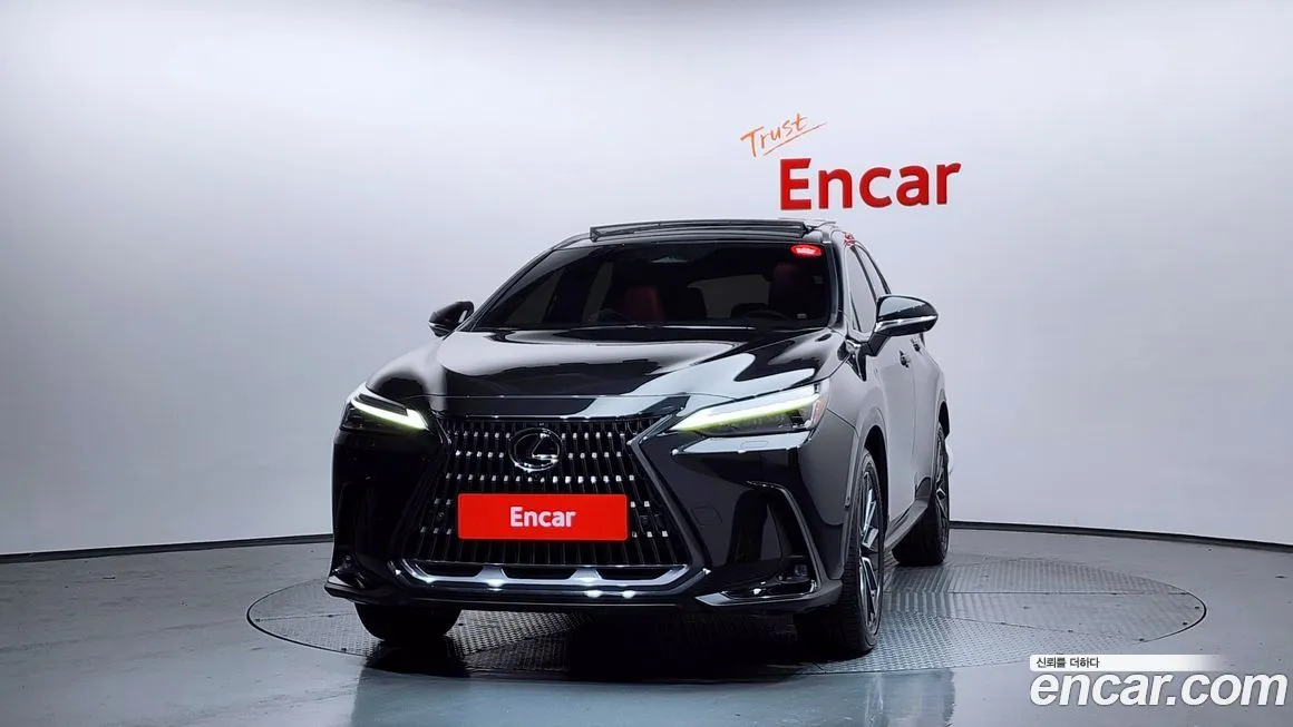 Lexus NX 2025 из KR, фото 4
