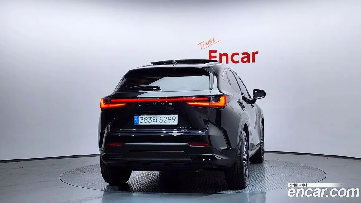 Lexus NX 2025 из KR, фото 6