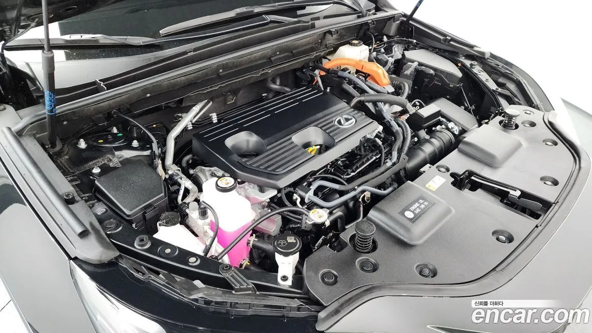 Lexus NX 2025 из KR, фото 7