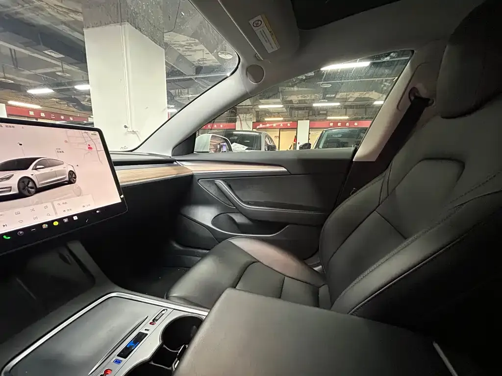 Tesla Model 3 2023 из CN, фото 6