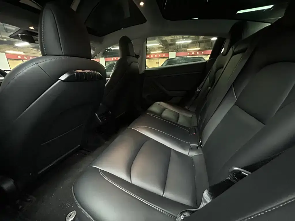 Tesla Model 3 2023 из CN, фото 2