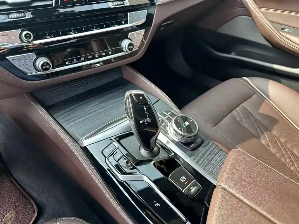 BMW 5 Series 2021 из CN, фото 6