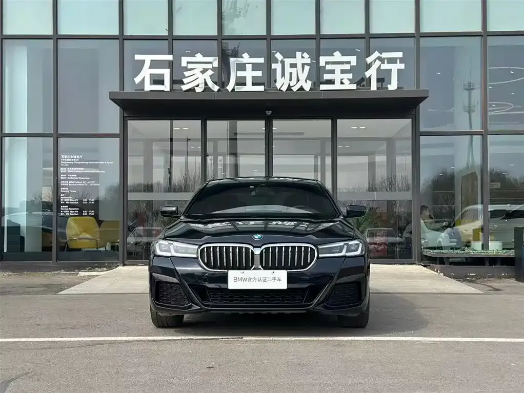 BMW 5 Series 2021 из CN, фото 3
