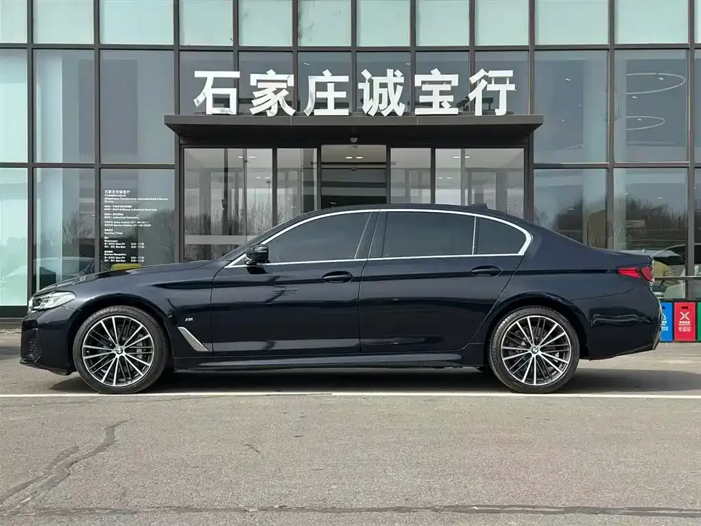 BMW 5 Series 2021 из CN, фото 5