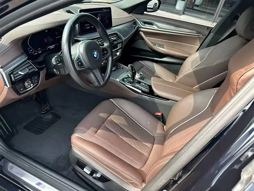BMW 5 Series 2021 из CN, фото 10