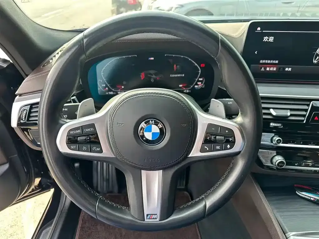 BMW 5 Series 2021 из CN, фото 4