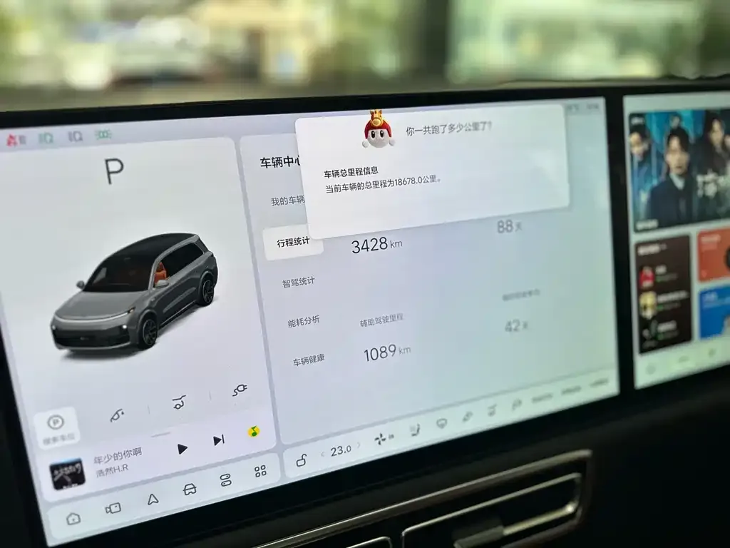 Li Auto Li L9 2024 из CN, фото 6