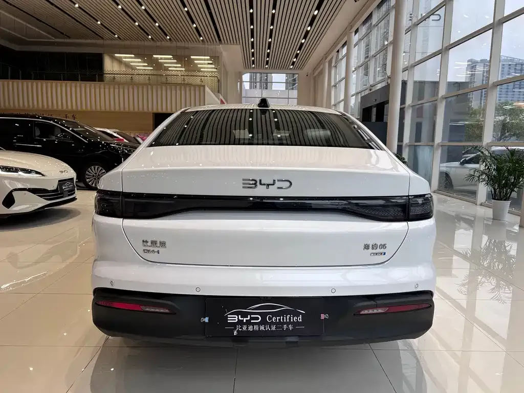 BYD Seal 05 DM-i 2025 из CN, фото 4