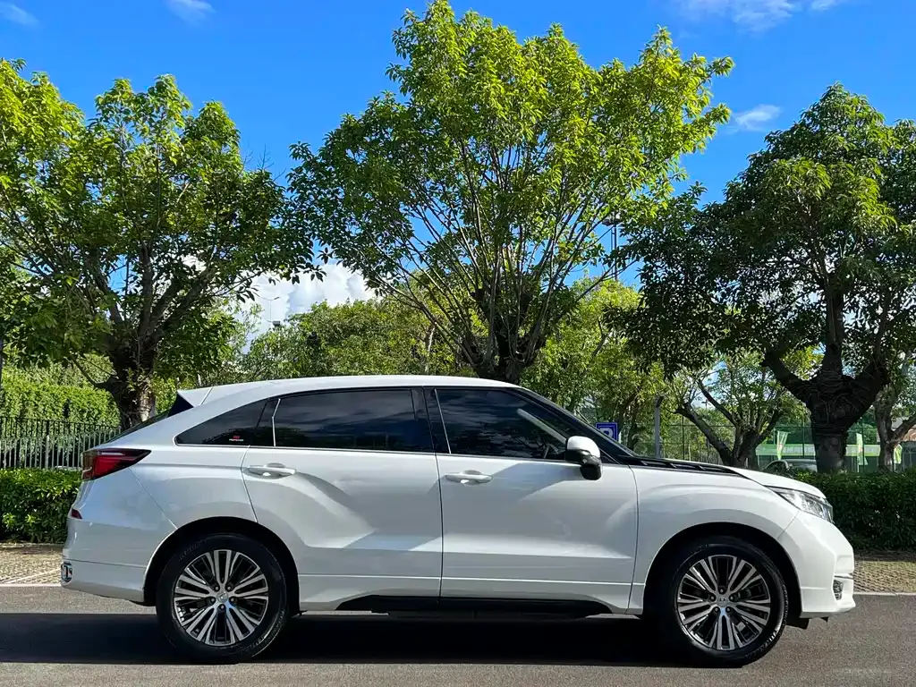 Honda Avancier 2023 из CN, фото 6