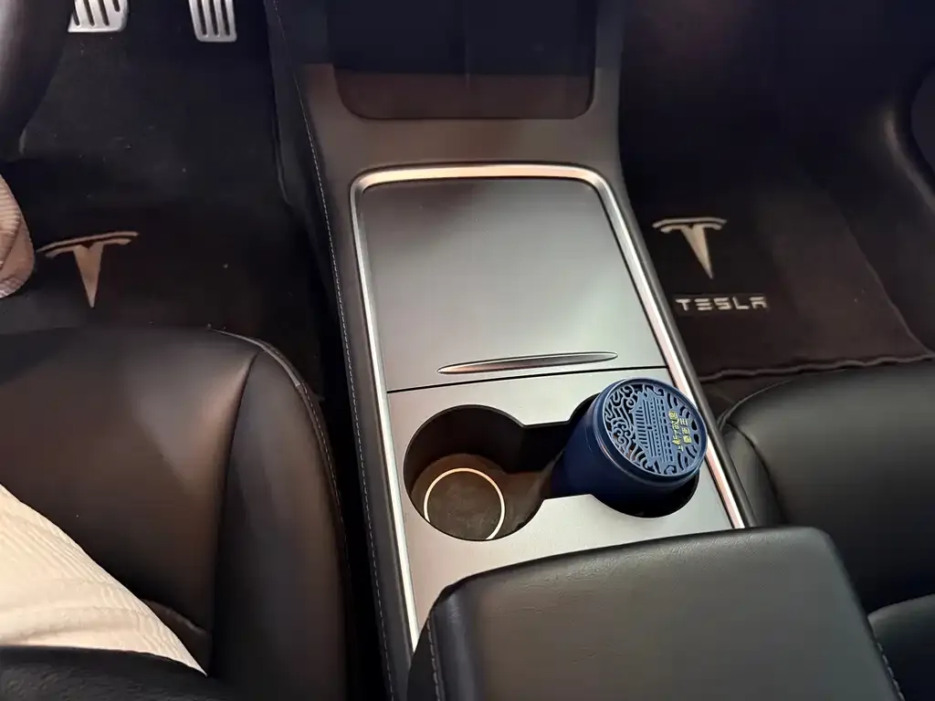 Tesla Model 3 2023 из CN, фото 9