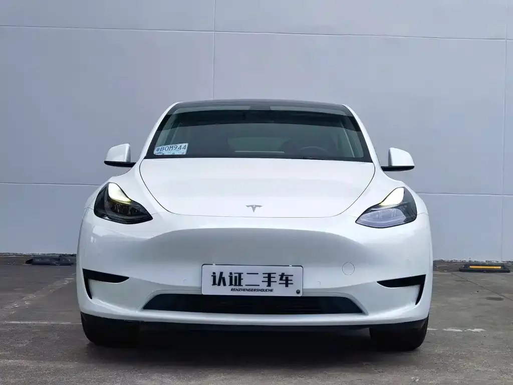Tesla Model Y — фото 10