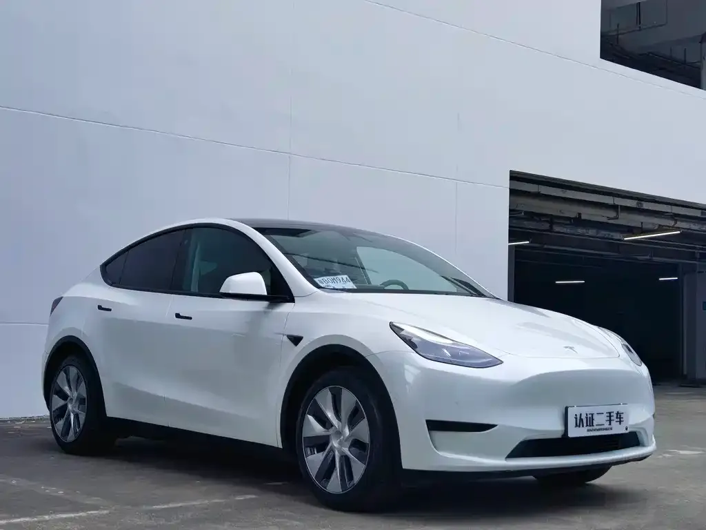 Tesla Model Y — фото 8