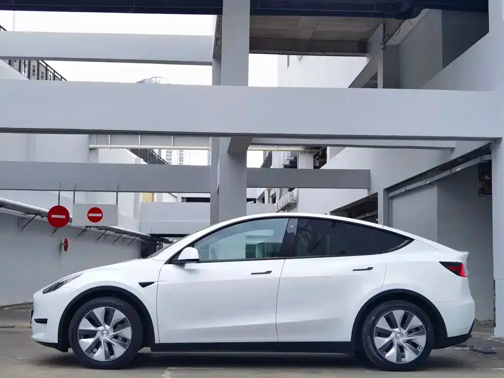 Tesla Model Y — фото 6