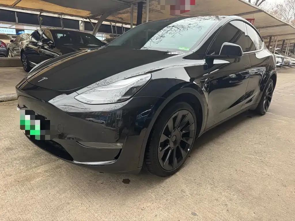 Tesla Model Y 2021 из CN, фото 1