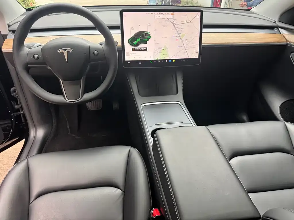 Tesla Model Y 2021 из CN, фото 4