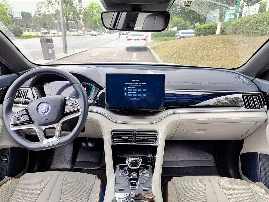 BYD PLUS New Energy 2023 из CN, фото 6