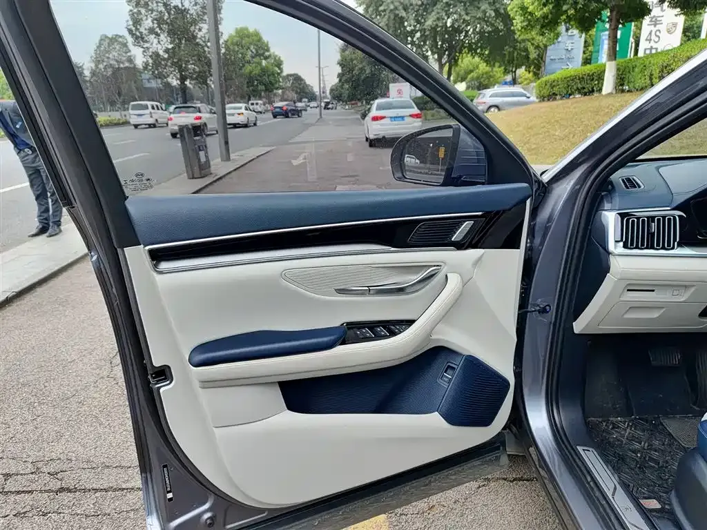 BYD PLUS New Energy 2023 из CN, фото 2