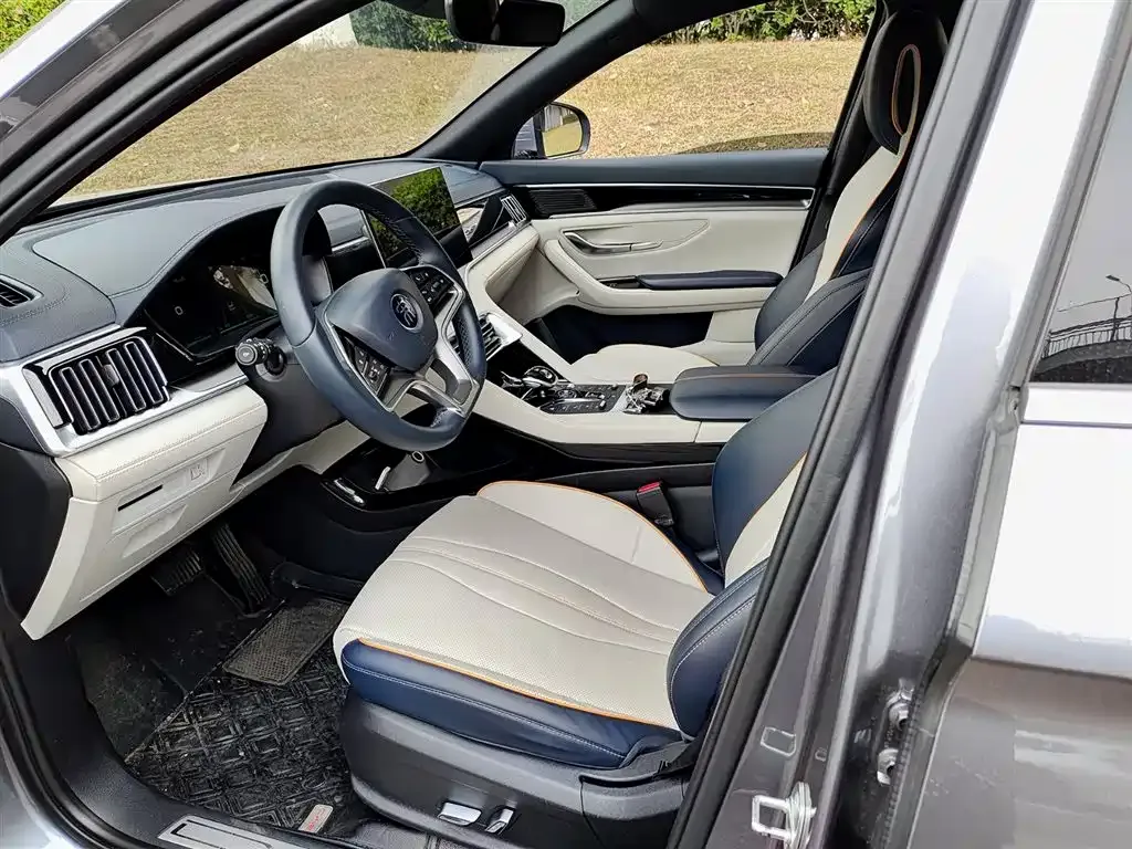 BYD PLUS New Energy 2023 из CN, фото 8
