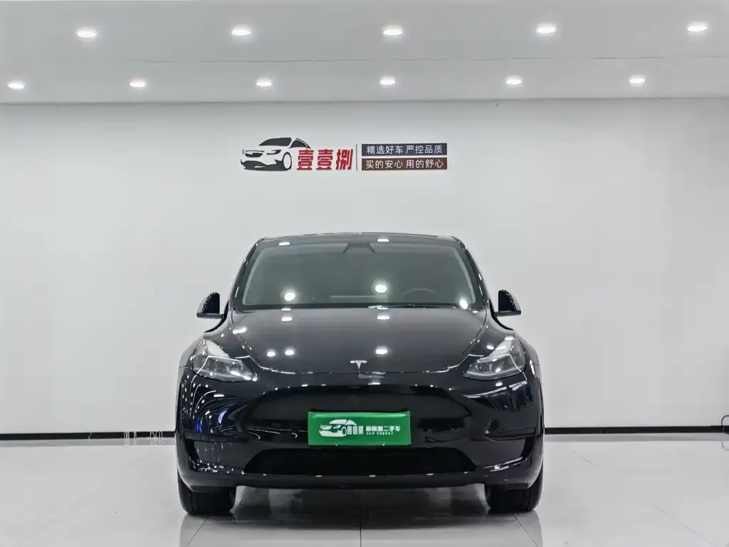 Tesla Model Y — фото 2