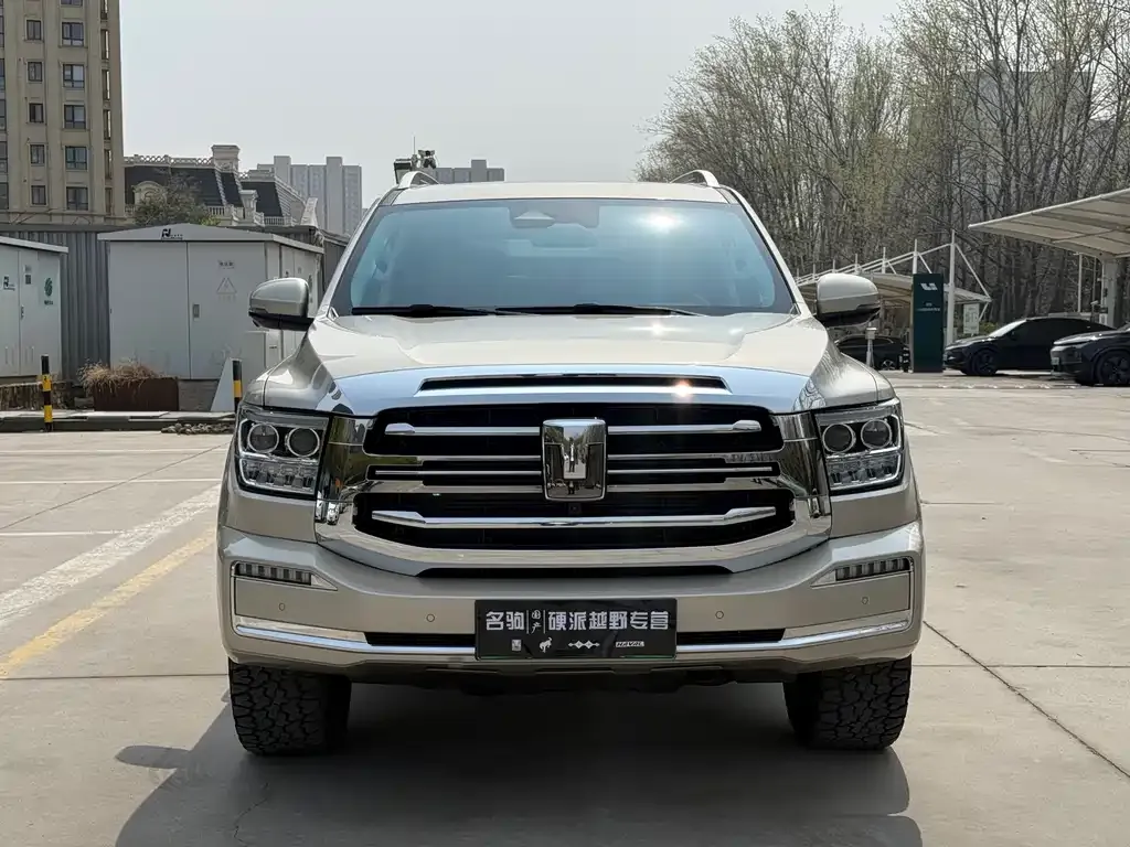 Tank 500 New Energy 2023 из CN, фото 4