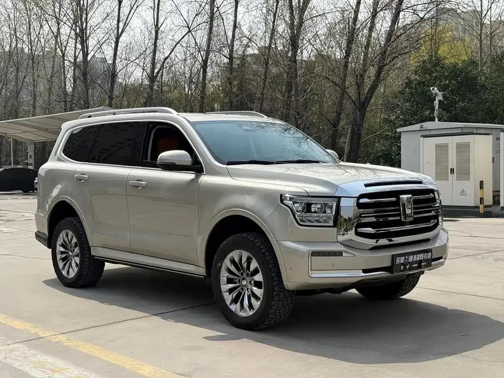 Tank 500 New Energy 2023 из CN, фото 8