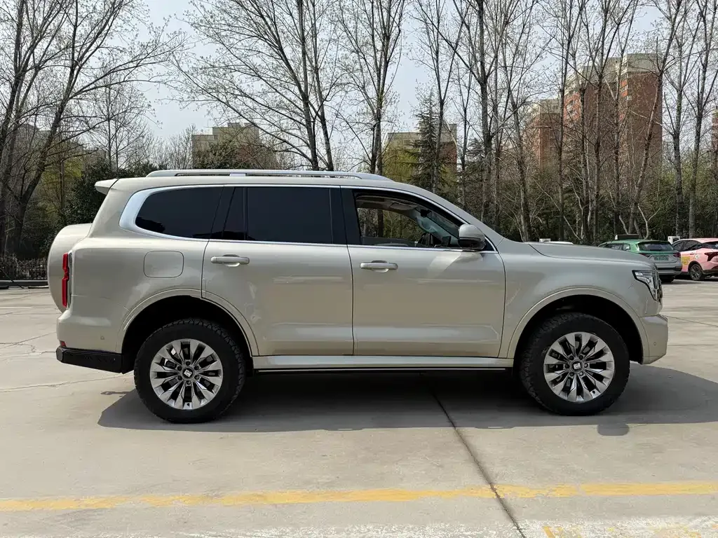 Tank 500 New Energy 2023 из CN, фото 10