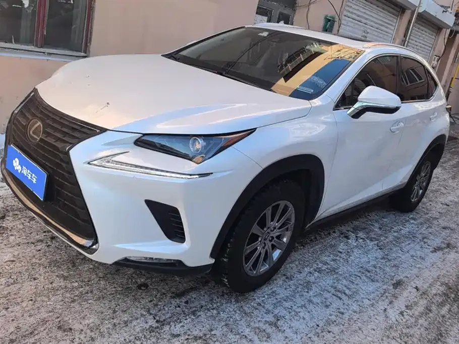 Lexus NX 2021 из CN, фото 1