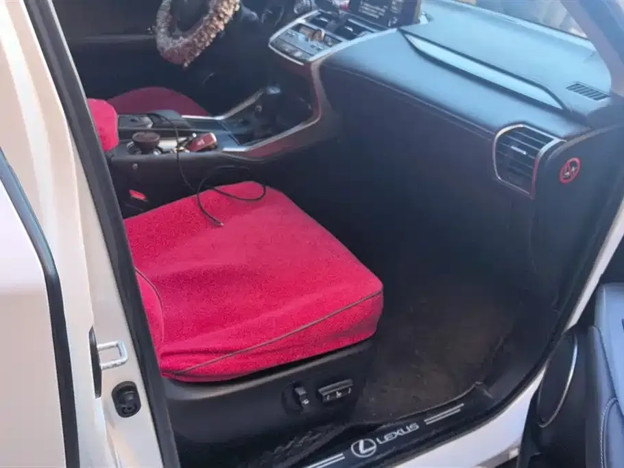 Lexus NX 2021 из CN, фото 4