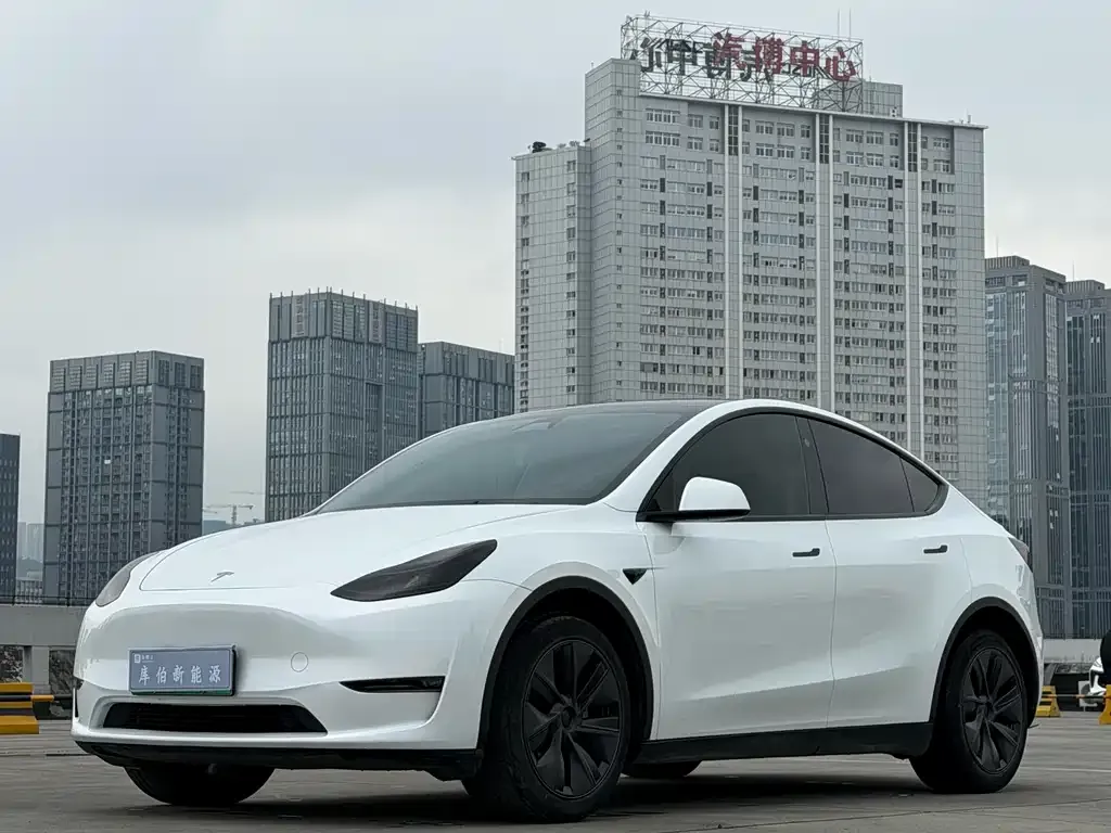 Tesla Model Y 2024 из CN, фото 1