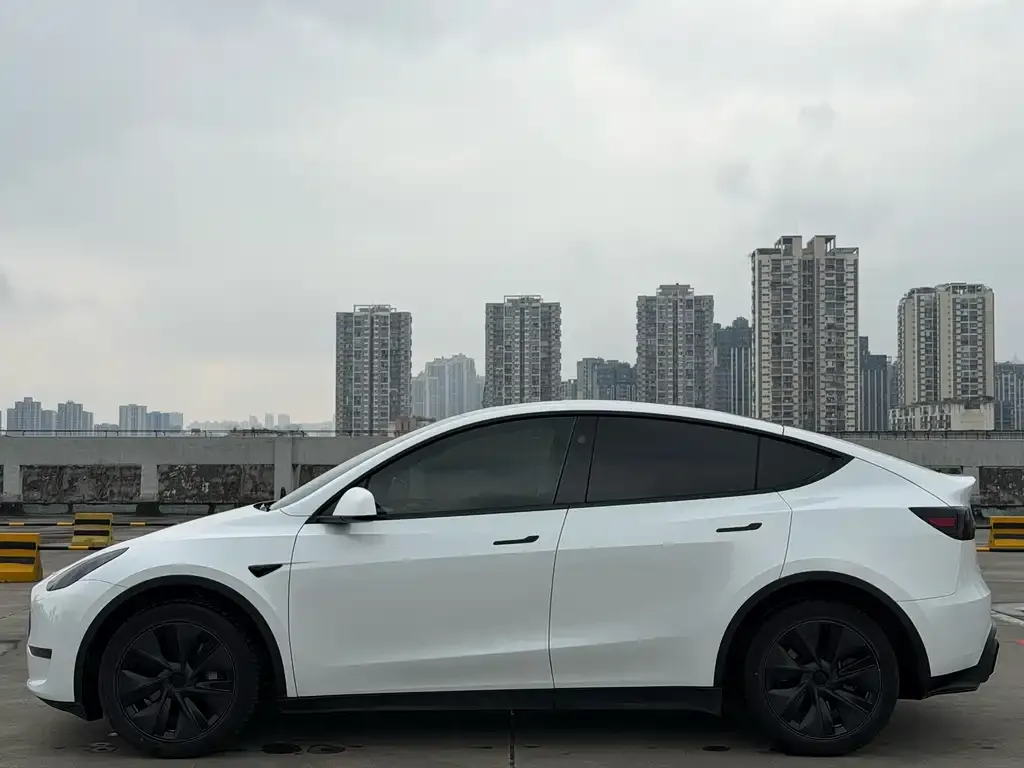 Tesla Model Y 2024 из CN, фото 8