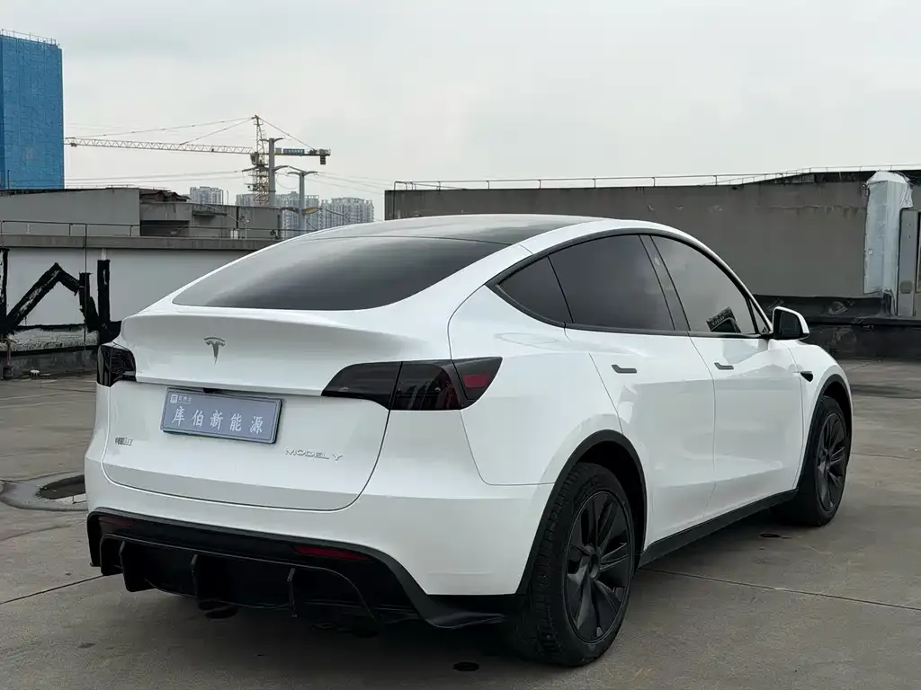 Tesla Model Y 2024 из CN, фото 6