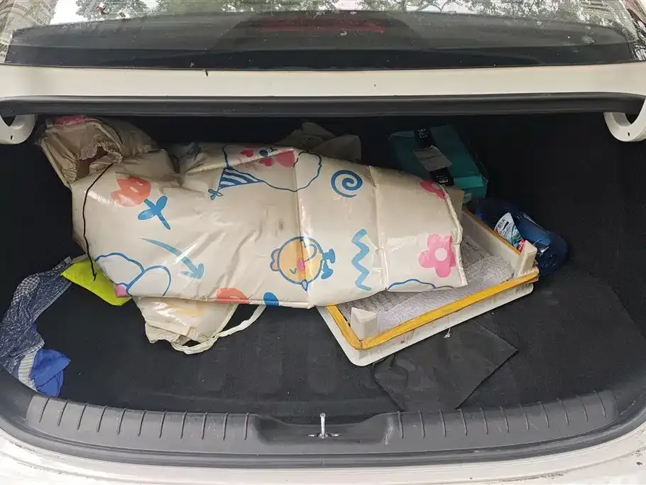 Hyundai Elantra 2023 из CN, фото 2
