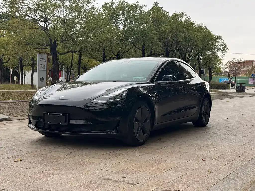 Tesla Model 3 — фото 1