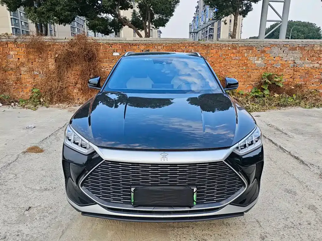 BYD PLUS New Energy — фото 1