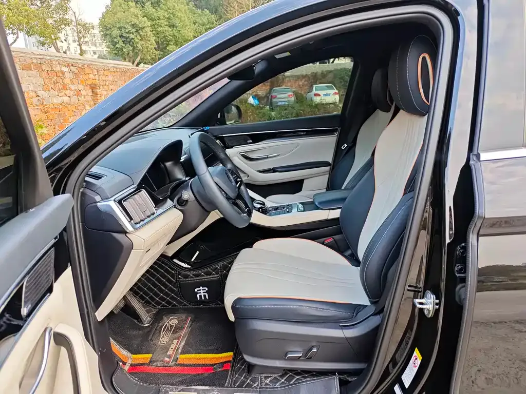 BYD PLUS New Energy — фото 10