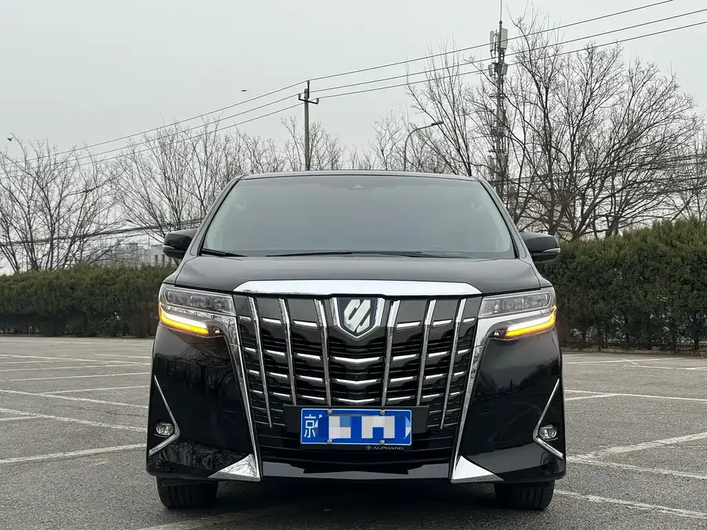 Toyota Alphard 2021 из CN, фото 10