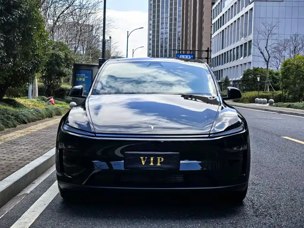 Tesla Model Y — фото 9
