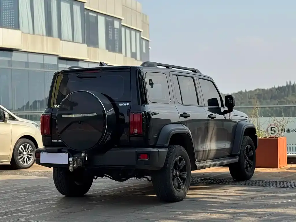 Tank 300 2023 из CN, фото 3