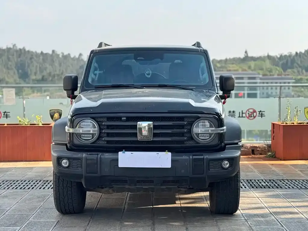 Tank 300 2023 из CN, фото 7