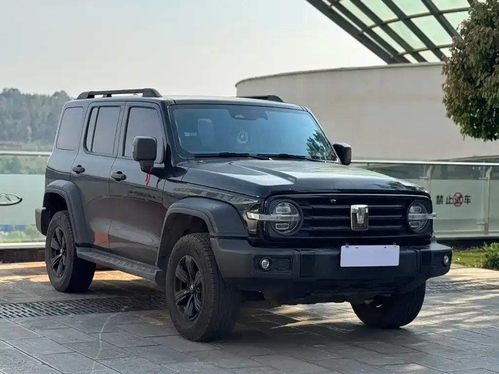 Tank 300 2023 из CN, фото 2