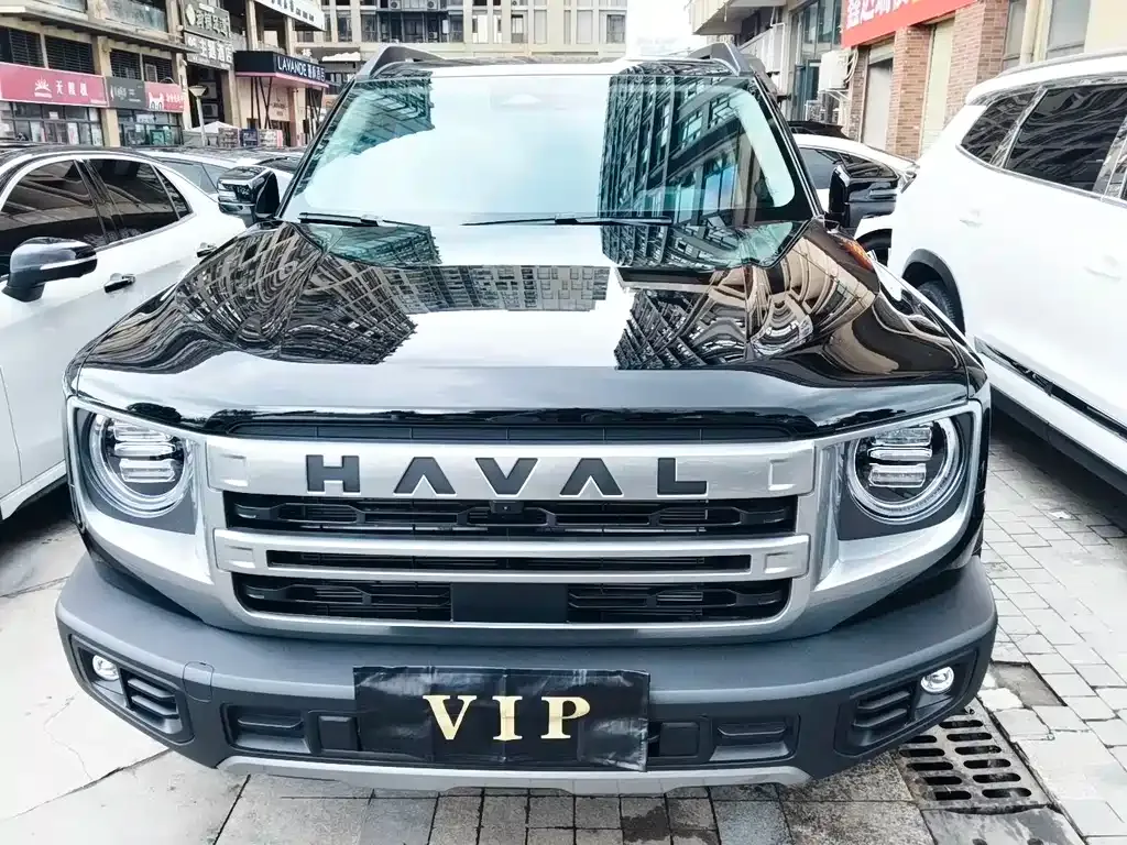 Haval Big Dog — фото 8