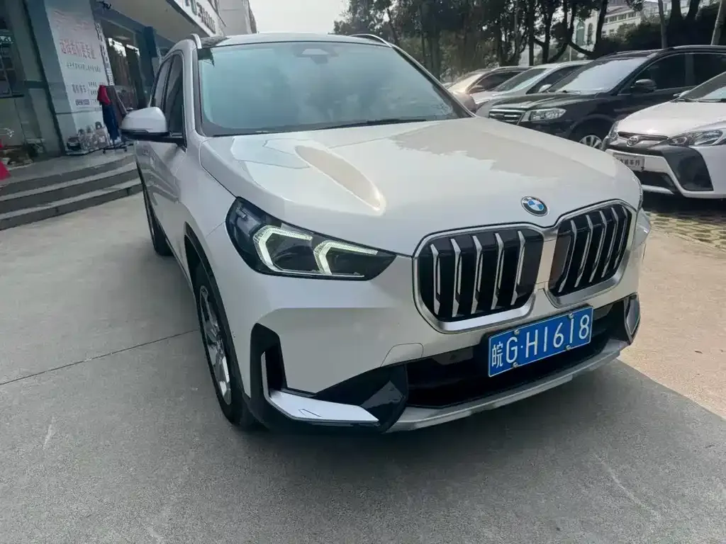 BMW X1 2024 из CN, фото 10