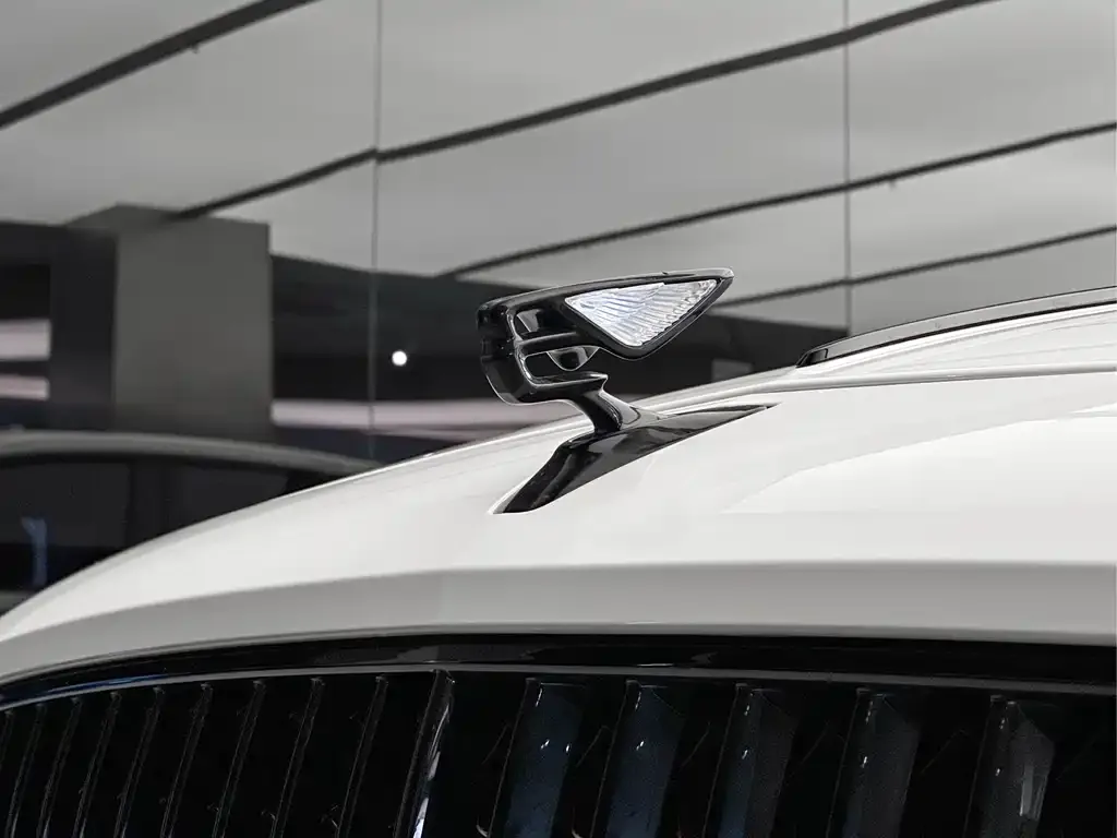Bentley Flying Spur 2025 из CN, фото 3