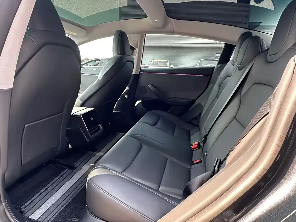 Tesla Model 3 2025 из CN, фото 8