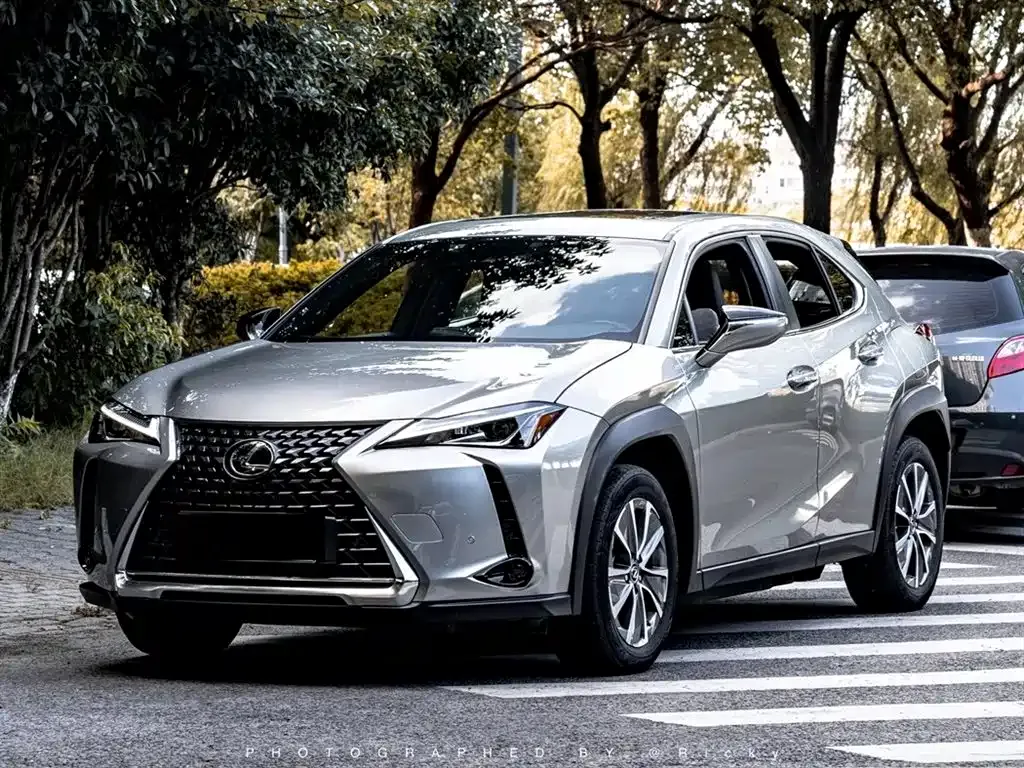 Lexus UX New Energy 2021 из CN, фото 1