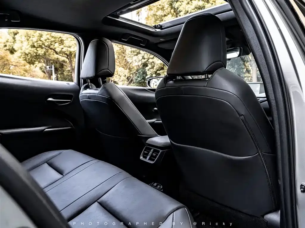 Lexus UX New Energy 2021 из CN, фото 9