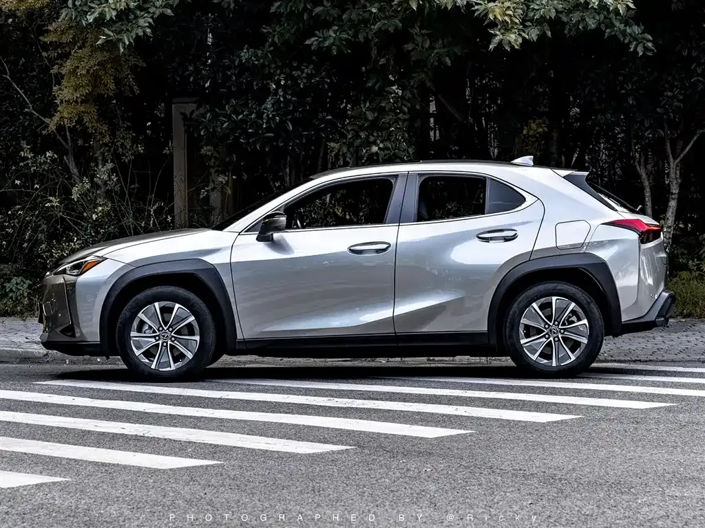 Lexus UX New Energy 2021 из CN, фото 10