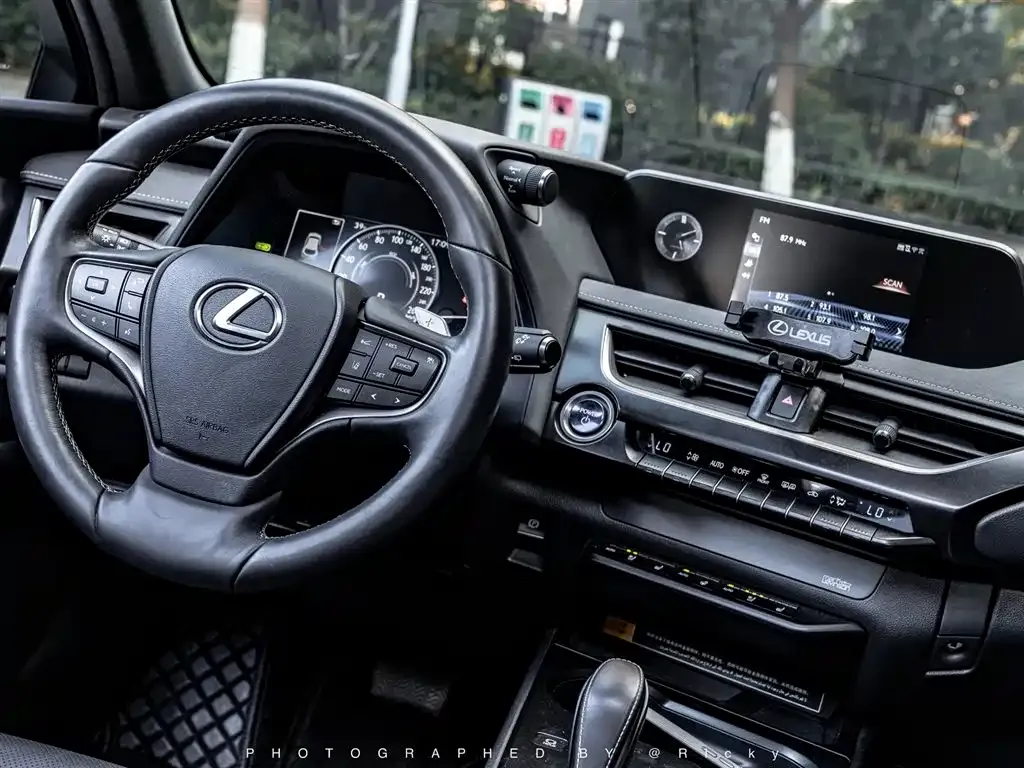 Lexus UX New Energy 2021 из CN, фото 6
